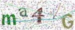 Фото Капча